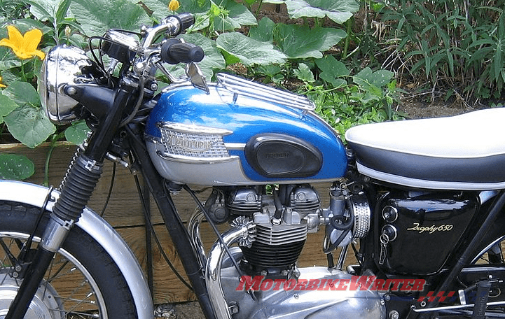 Triumph castrater groin