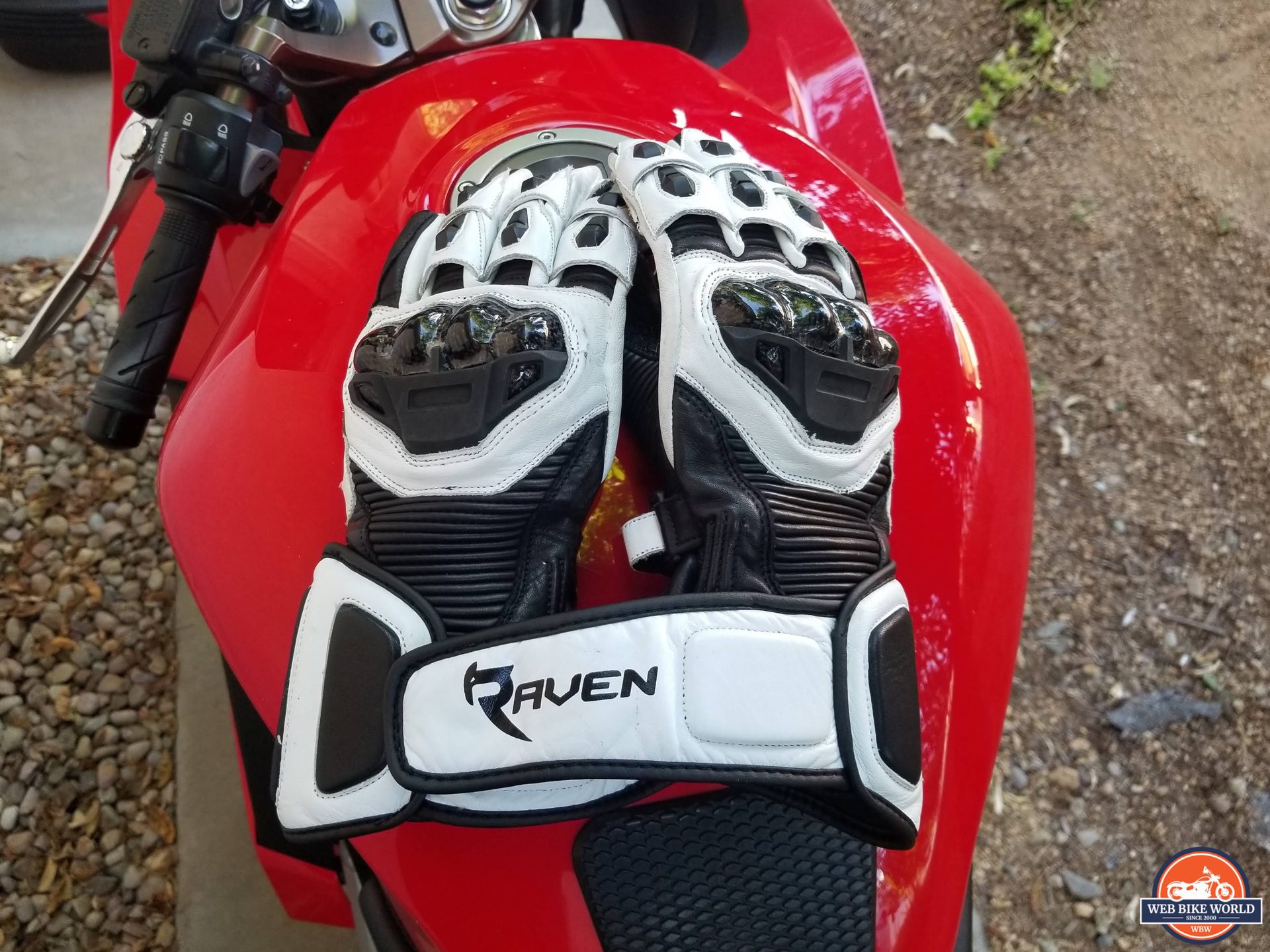 Raven Moto Storm Gloves on the tank