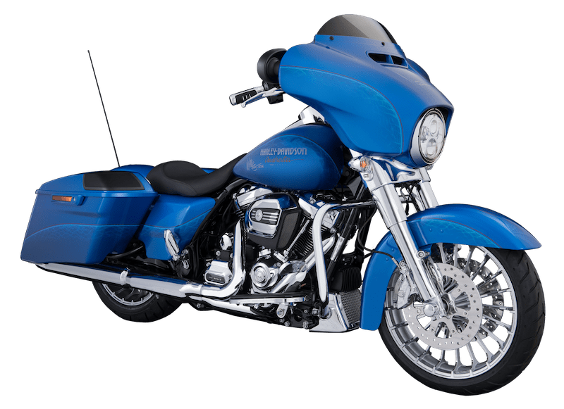 HD 100th Anniversary Street Glide signed by Willie G