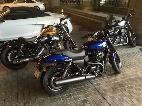 Harley-Davidson Forty-Eight, Street 750 in the new blue colour and 883