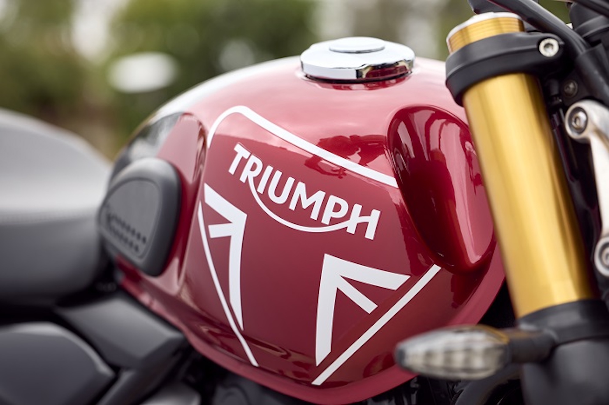 A prime view of Triumph's new 400cc beasties - the Speed 400 and Scrambler 400 X. Media sourced from Triumph.